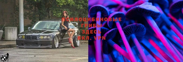 соль ск Бородино