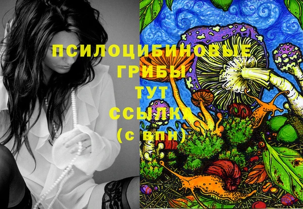 а пвп мука Верхний Тагил
