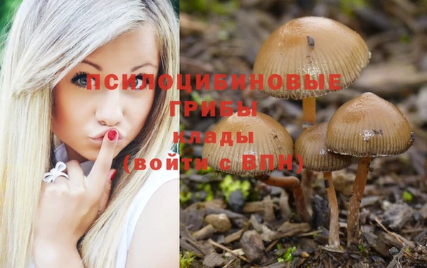 соль ск Бугульма