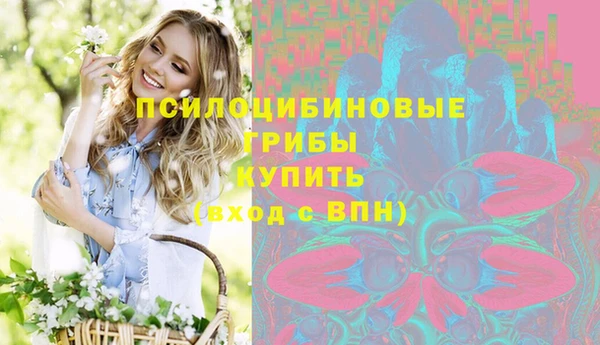 соль ск Бородино