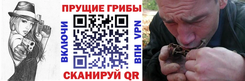 наркотики  ссылка на мегу ТОР  Псилоцибиновые грибы мухоморы  Карачев 