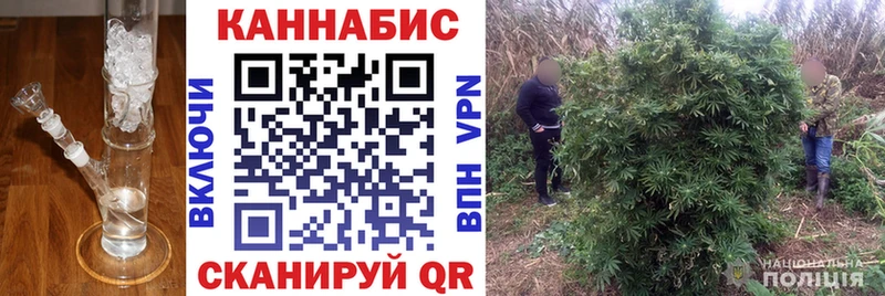 сколько стоит  Карачев  Каннабис OG Kush 